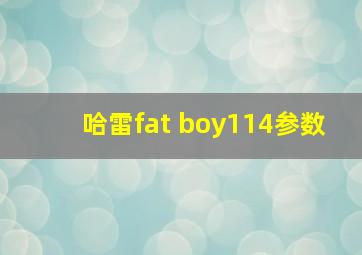 哈雷fat boy114参数